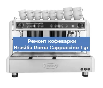 Ремонт капучинатора на кофемашине Brasilia Roma Cappuccino 1 gr в Волгограде